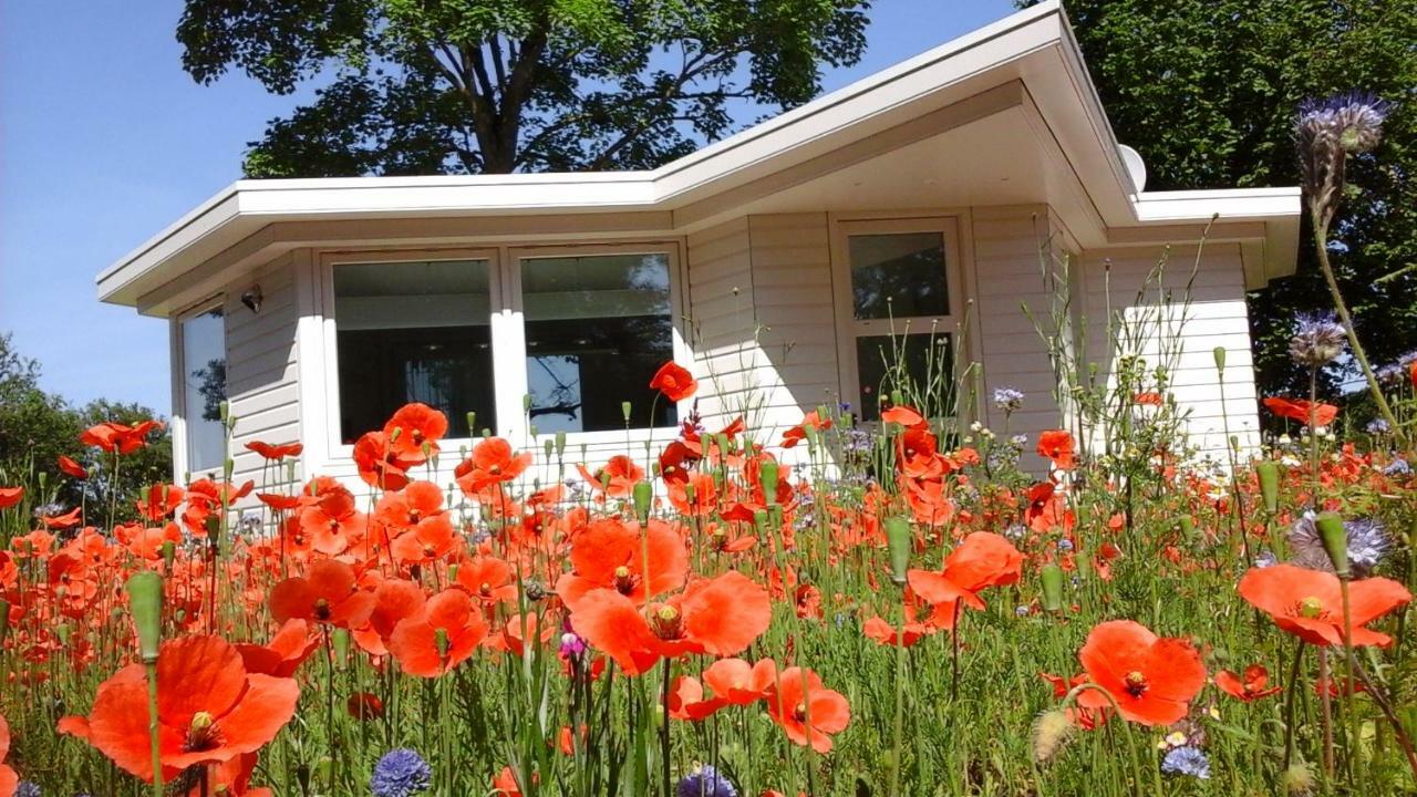 Het Findament Tiny House Villa Hilversum Eksteriør billede